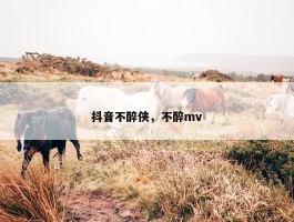 抖音不醉侠，不醉mv