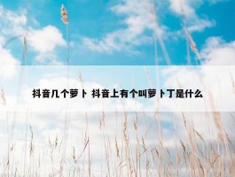 抖音几个萝卜 抖音上有个叫萝卜丁是什么