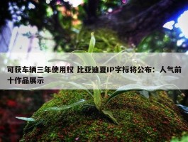 可获车辆三年使用权 比亚迪夏IP字标将公布：人气前十作品展示