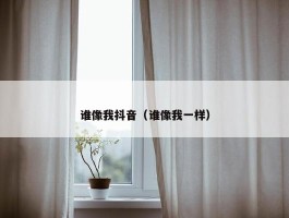 谁像我抖音（谁像我一样）