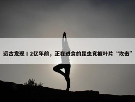 远古发现丨2亿年前，正在进食的昆虫竟被叶片“攻击”