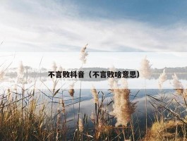 不言败抖音（不言败啥意思）