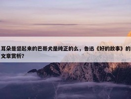 耳朵是竖起来的巴哥犬是纯正的么，鲁迅《好的故事》的文章赏析？