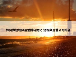 如何做短视频运营排名优化 短视频运营公司排名