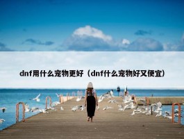 dnf用什么宠物更好（dnf什么宠物好又便宜）