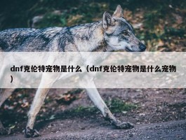 dnf克伦特宠物是什么（dnf克伦特宠物是什么宠物）