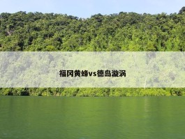 福冈黄蜂vs德岛漩涡