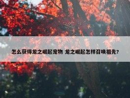 怎么获得龙之崛起宠物 龙之崛起怎样召唤祖先?