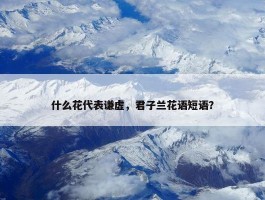 什么花代表谦虚，君子兰花语短语？