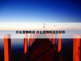 什么宠物听话 什么宠物听话又好养