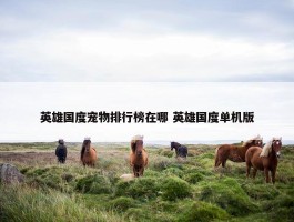 英雄国度宠物排行榜在哪 英雄国度单机版