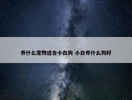 养什么宠物适合小白狗 小白养什么狗好