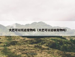 大巴可以托运宠物吗（大巴可以运输宠物吗）