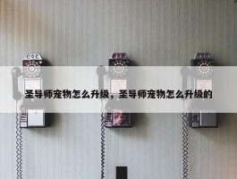 圣导师宠物怎么升级，圣导师宠物怎么升级的