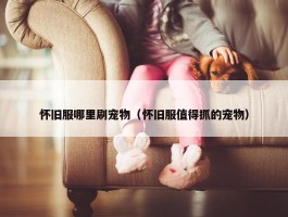 怀旧服哪里刷宠物（怀旧服值得抓的宠物）