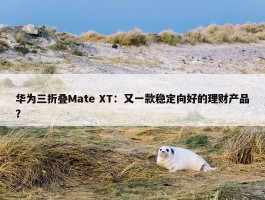 华为三折叠Mate XT：又一款稳定向好的理财产品？