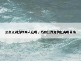 热血江湖宠物商人在哪，热血江湖宠物任务哪里接