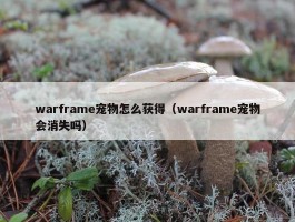 warframe宠物怎么获得（warframe宠物会消失吗）