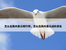 怎么在局内显示排行榜，怎么在局内显示战队排名