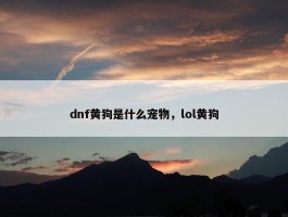 dnf黄狗是什么宠物，lol黄狗