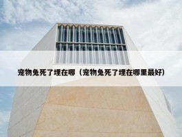 宠物兔死了埋在哪（宠物兔死了埋在哪里最好）