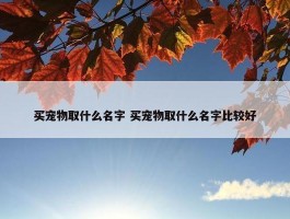 买宠物取什么名字 买宠物取什么名字比较好