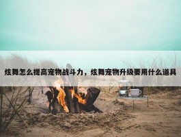 炫舞怎么提高宠物战斗力，炫舞宠物升级要用什么道具