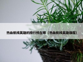 热血航线英雄的排行榜在哪（热血航线英雄强度）