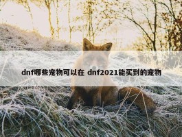 dnf哪些宠物可以在 dnf2021能买到的宠物