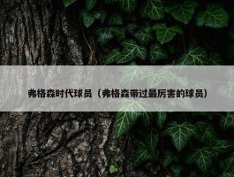 弗格森时代球员（弗格森带过最厉害的球员）