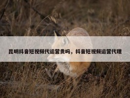 昆明抖音短视频代运营贵吗，抖音短视频运营代理