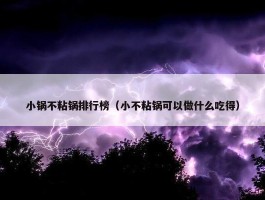 小锅不粘锅排行榜（小不粘锅可以做什么吃得）