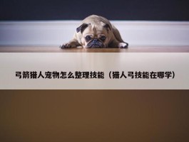 弓箭猎人宠物怎么整理技能（猎人弓技能在哪学）