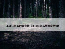 小汪汪怎么放置宠物（小汪汪怎么放置宠物狗）