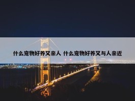 什么宠物好养又亲人 什么宠物好养又与人亲近