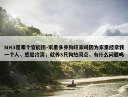 NH3是哪个官能团-家里多养狗旺家吗因为家里经常我一个人，感觉冷清，就养3只狗热闹点，有什么问题吗