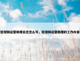 短视频运营助理日志怎么写，短视频运营助理的工作内容