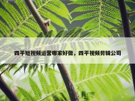 四平短视频运营哪家好做，四平视频剪辑公司