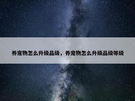 养宠物怎么升级品级，养宠物怎么升级品级等级