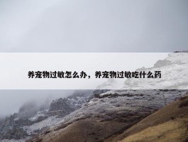 养宠物过敏怎么办，养宠物过敏吃什么药