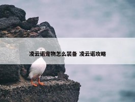 凌云诺宠物怎么装备 凌云诺攻略