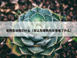 宠物告诉我们什么（你认为宠物为你带来了什么）