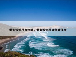 假如螳螂是宠物呢，假如螳螂是宠物呢作文