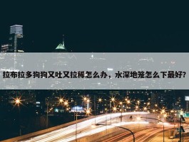 拉布拉多狗狗又吐又拉稀怎么办，水深地笼怎么下最好？