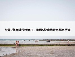 街霸5警察排行榜第几，街霸5警察为什么那么厉害