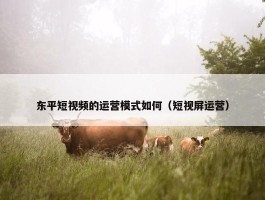 东平短视频的运营模式如何（短视屏运营）