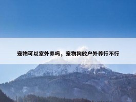 宠物可以室外养吗，宠物狗放户外养行不行