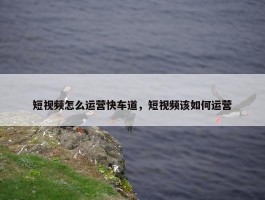 短视频怎么运营快车道，短视频该如何运营