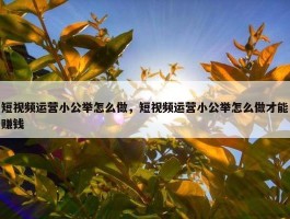 短视频运营小公举怎么做，短视频运营小公举怎么做才能赚钱