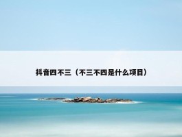 抖音四不三（不三不四是什么项目）